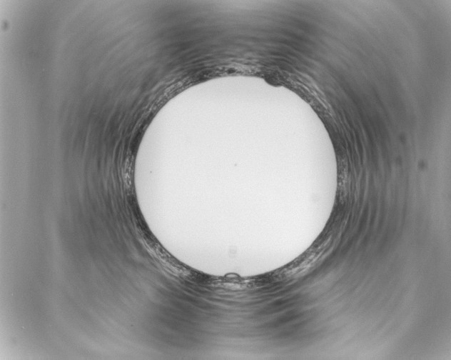 X0000087020285200705071517