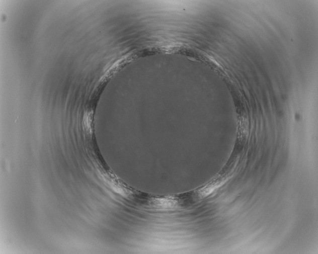 X0000087020286200705071517