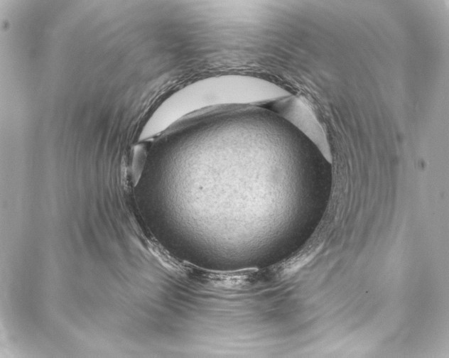 X0000087020288200705071517