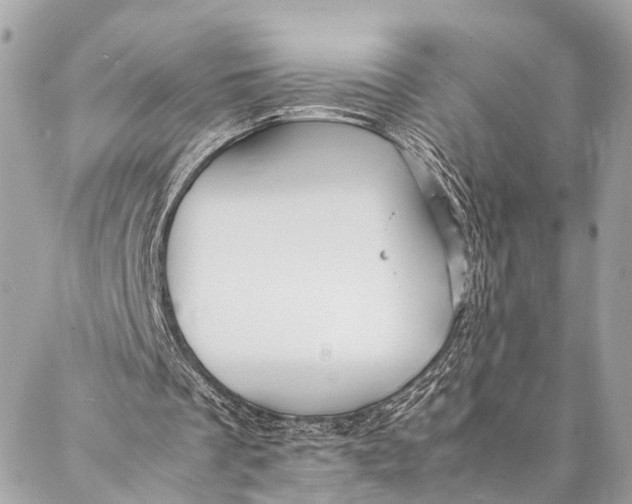 X0000087020289200705071516