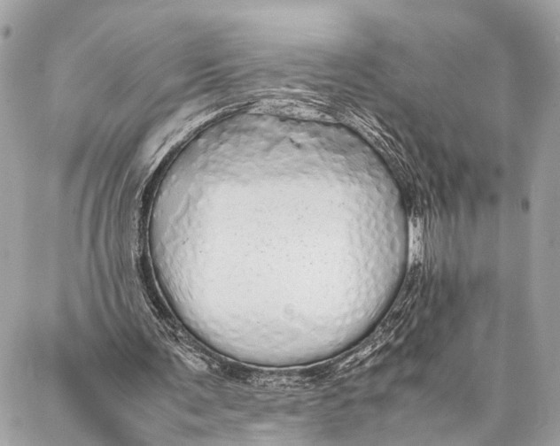 X0000087020291200705071516