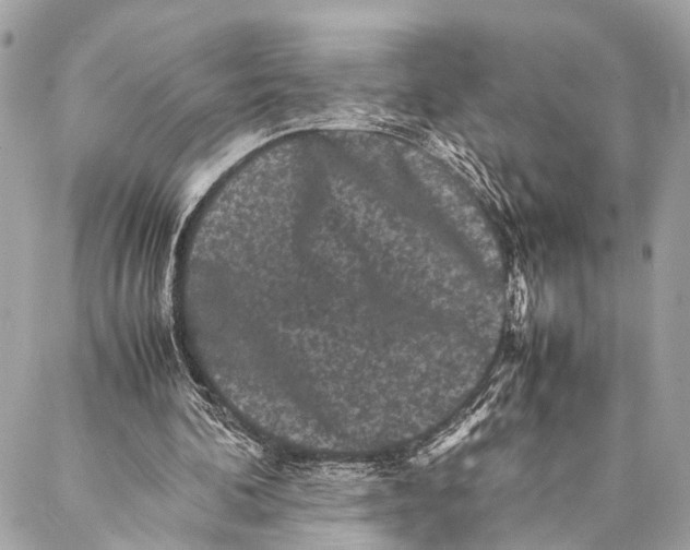 X0000087020292200705071516