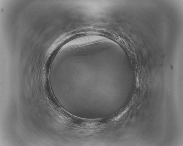 X0000087020295200705071516