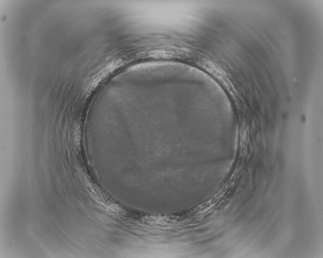 X0000087020297200705071516