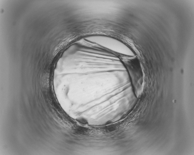 X0000087020299200705071516