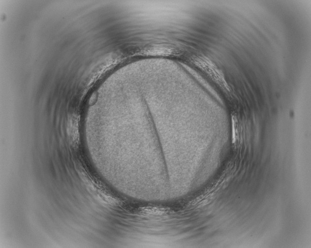 X0000087020300200705071516