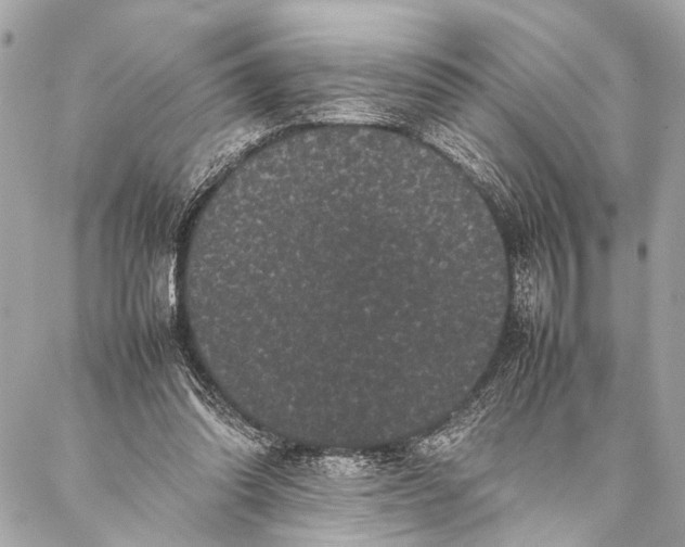 X0000087020302200705071516