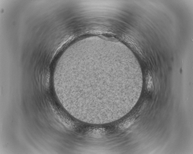 X0000087020304200705071516