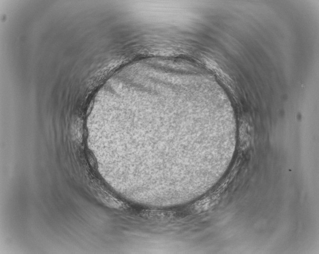 X0000087020305200705071516