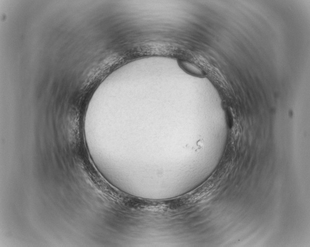 X0000087020306200705071516