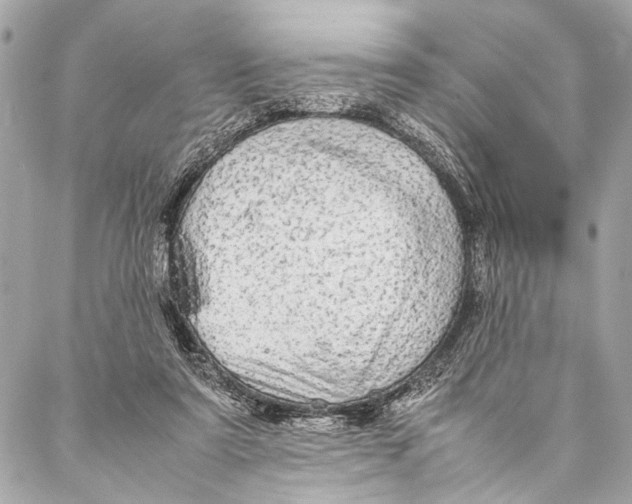 X0000087020307200705071516