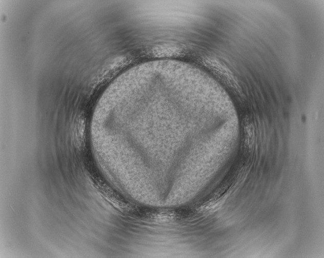 X0000087020308200705071516