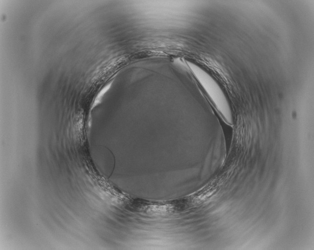 X0000087020314200705071516