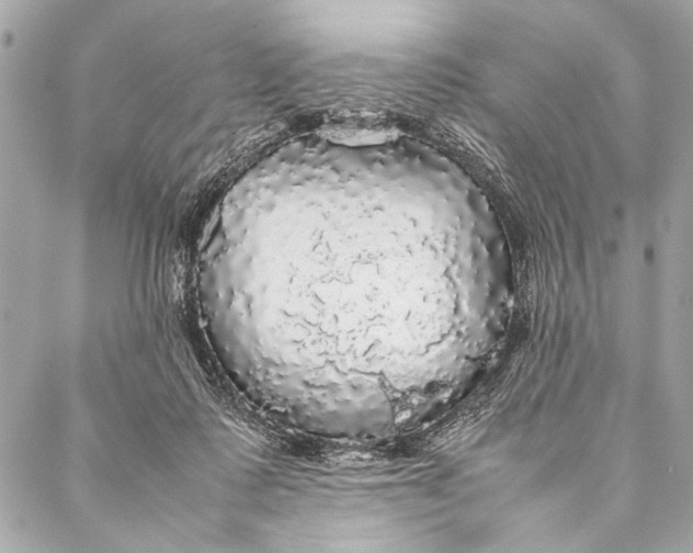 X0000087020315200705071516