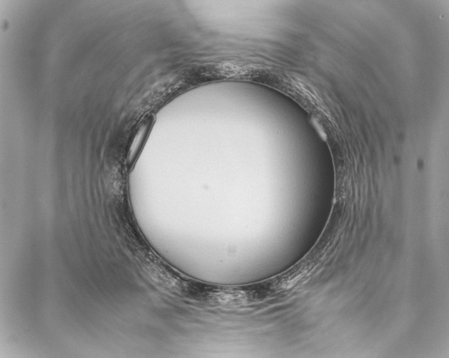 X0000087020317200705071516