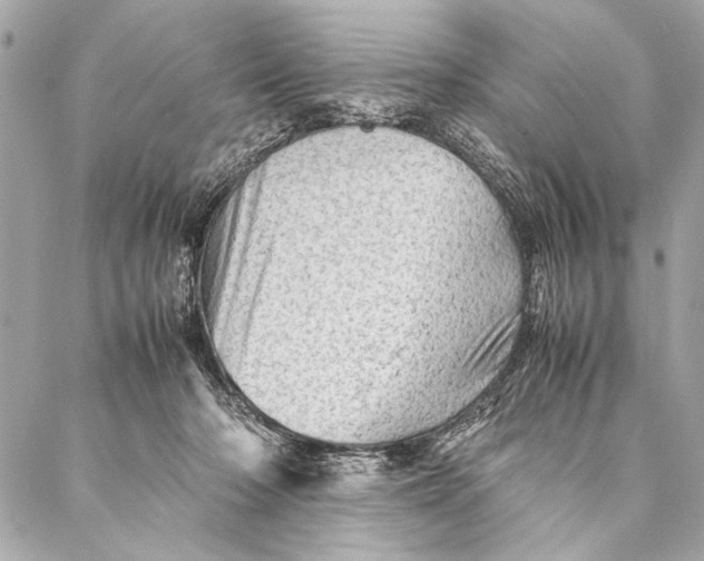 X0000087020318200705071516