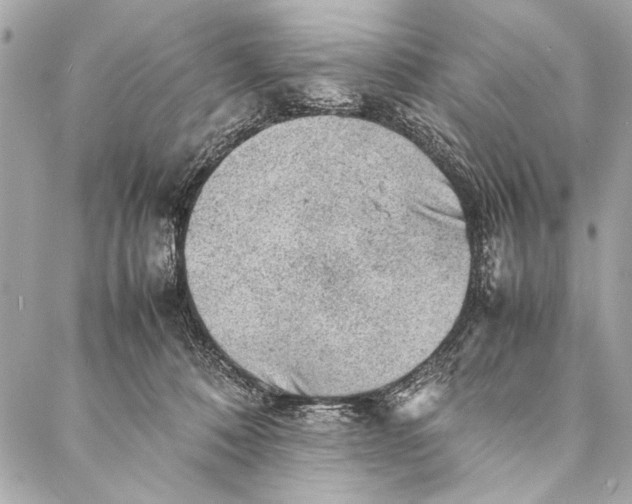 X0000087020320200705071516