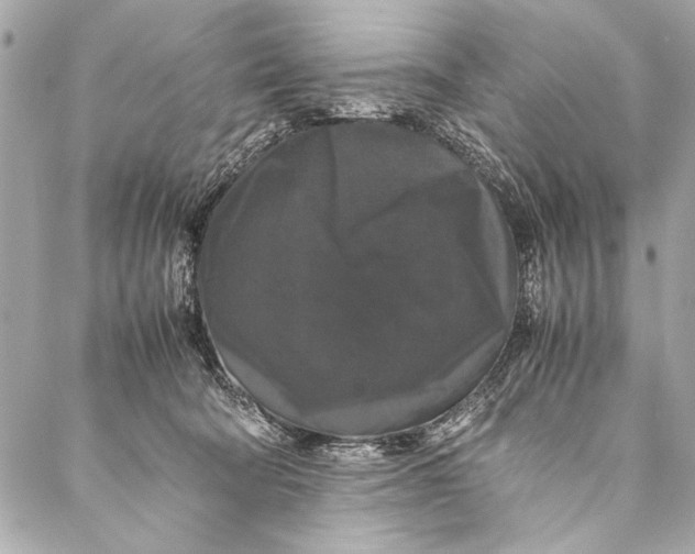 X0000087020322200705071516