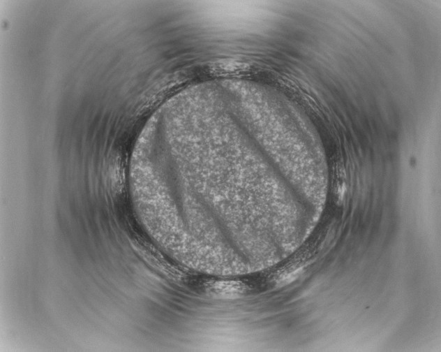 X0000087020324200705071516