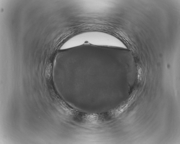 X0000087020325200705071516