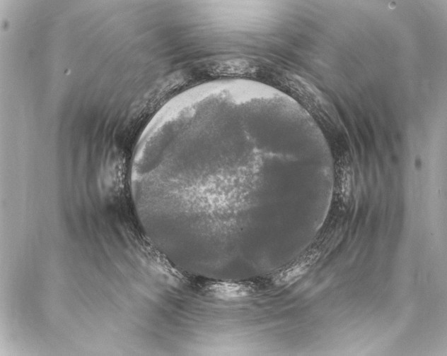 X0000087020326200705071516