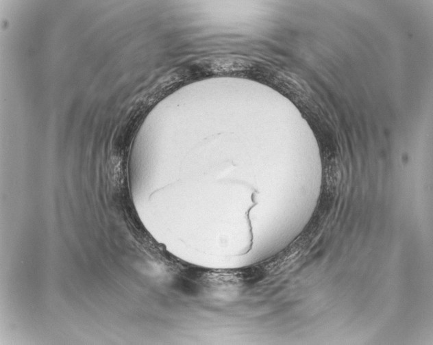 X0000087020327200705071516