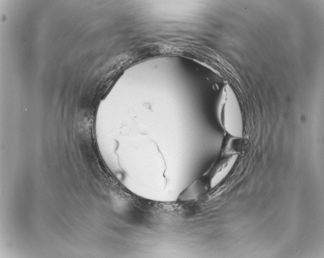 X0000087020329200705071516