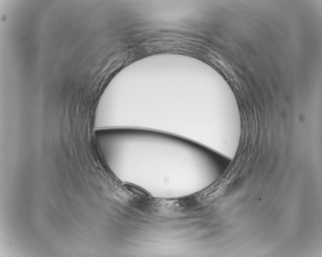 X0000087020333200705071516