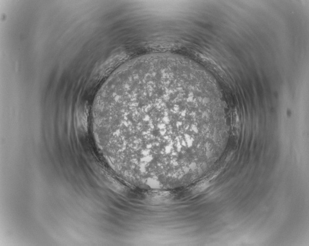 X0000087020334200705071516