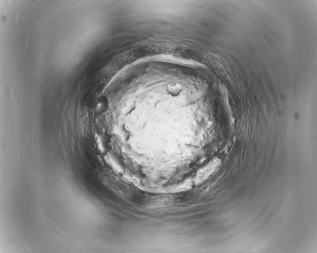 X0000087020335200705071516