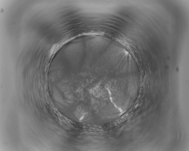 X0000087020337200705071515