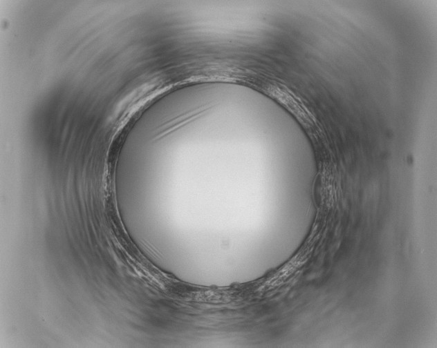 X0000087020338200705071515