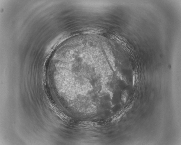 X0000087020339200705071515