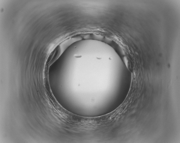 X0000087020340200705071515