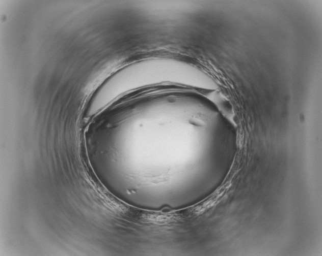 X0000087020341200705071515