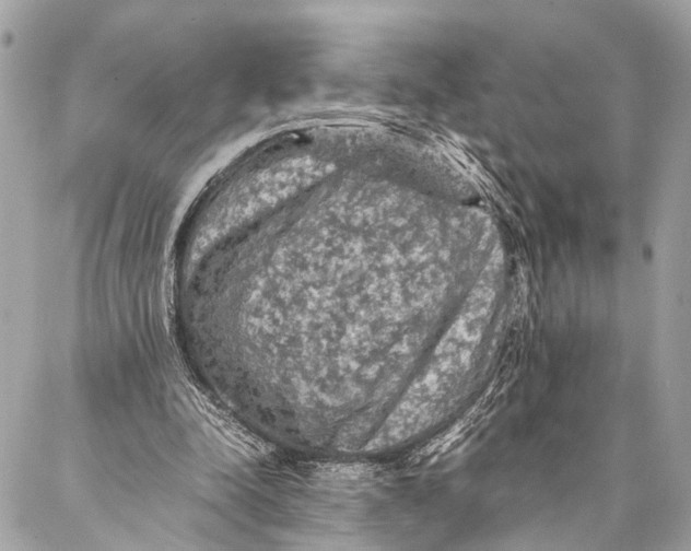 X0000087020342200705071515