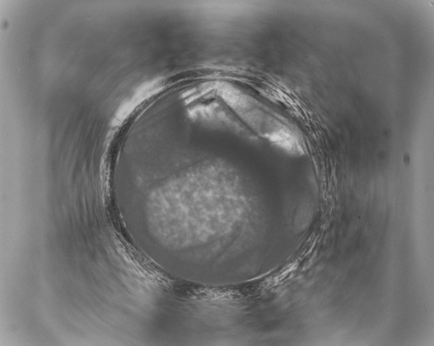 X0000087020343200705071515