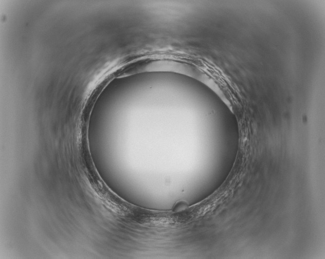 X0000087020344200705071515