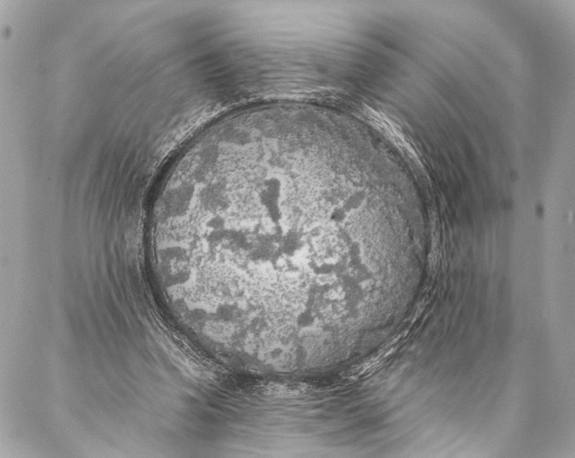 X0000087020346200705071515