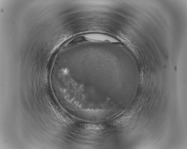 X0000087020347200705071515