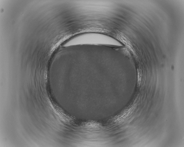 X0000087020348200705071515