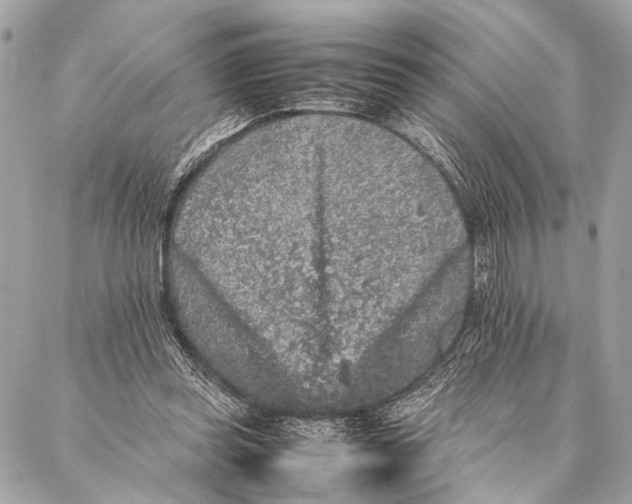 X0000087020349200705071515