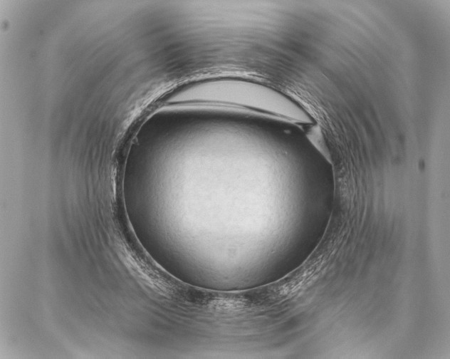 X0000087020350200705071515