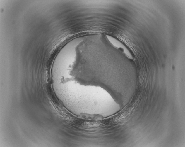 X0000087020351200705071515