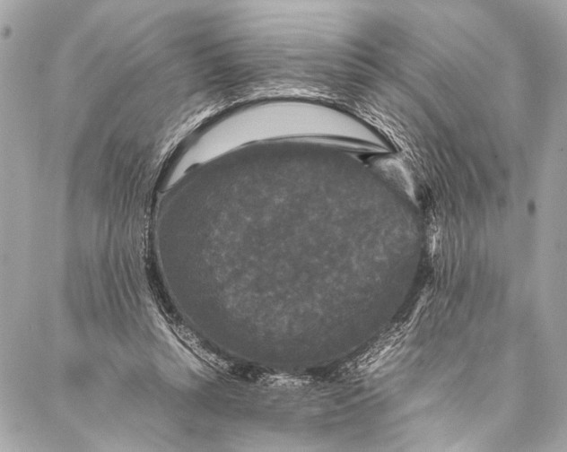 X0000087020352200705071515