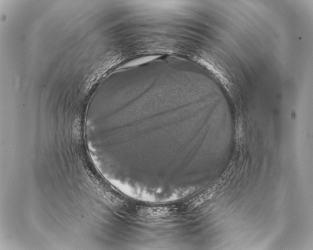 X0000087020353200705071515