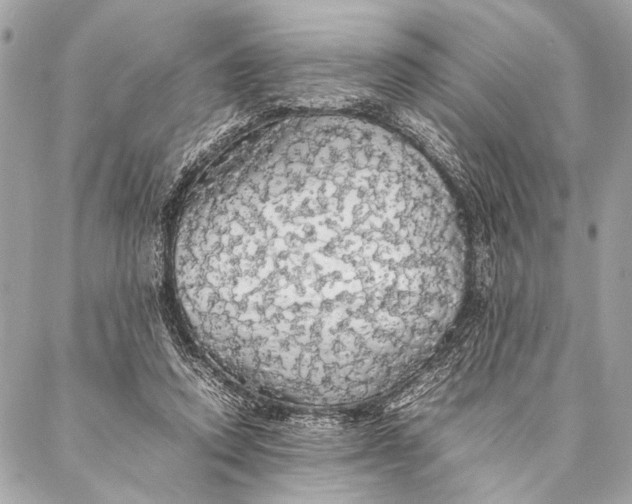 X0000087020354200705071515