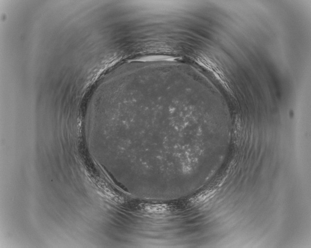 X0000087020355200705071515