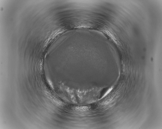 X0000087020357200705071515