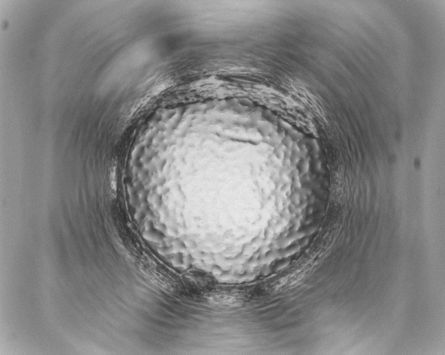 X0000087020358200705071515